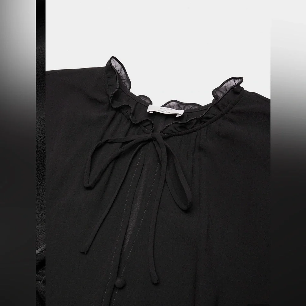 Aritzia Sheer Black Blouse - Picture 10 of 15